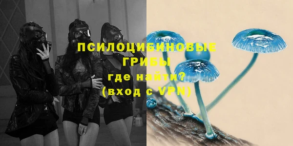крисы Беломорск