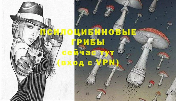 крисы Беломорск