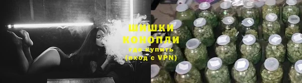 бутират Белокуриха