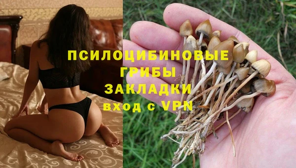 Альфа ПВП Баксан