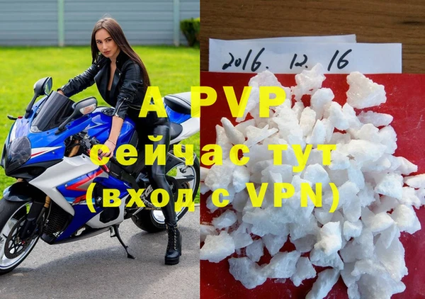 крисы Белоозёрский