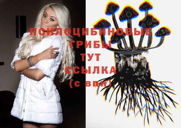 крисы Беломорск