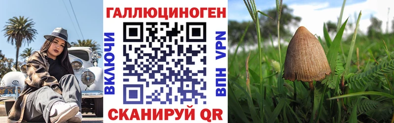Галлюциногенные грибы прущие грибы  Купить  Невьянск 